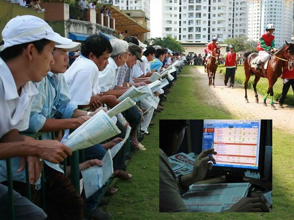 tien thang cuoc ca do truc tuyen duoc tinh nhu the nao hinh 3