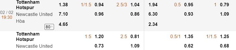 Ty le keo Tottenham vs Newcastle hinh anh 1