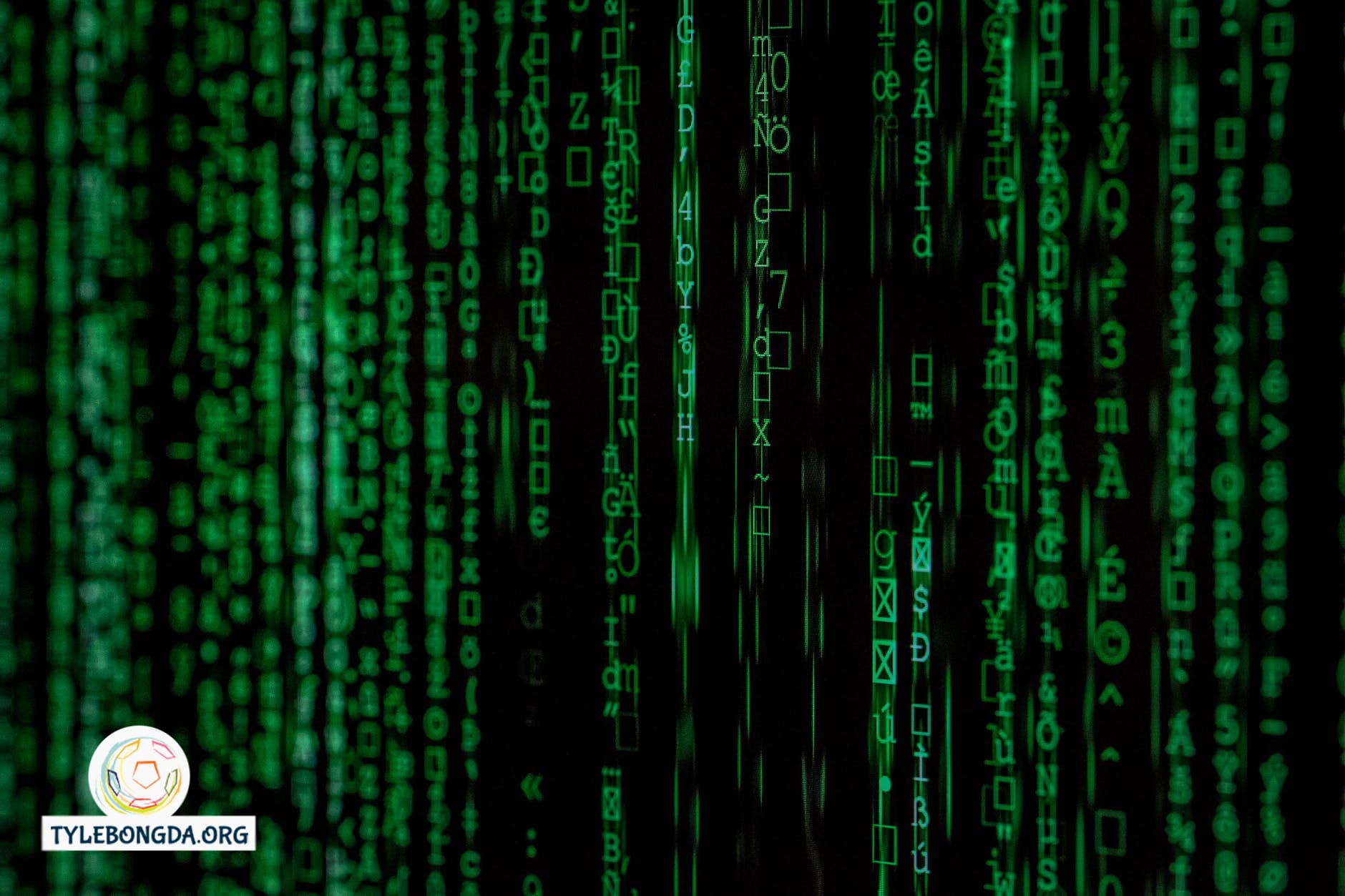 chính sách bảo mật tylebongda 01