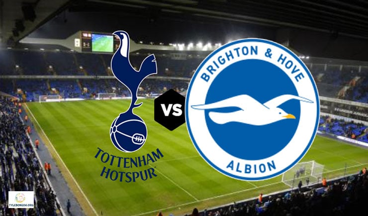 Soi kèo bóng đá trận Tottenham vs Brighton