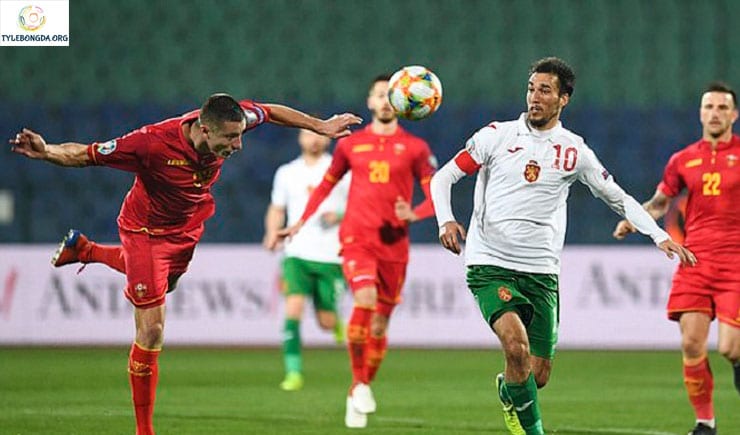 Soi kèo tỷ số nhà cái trận Séc vs Bulgaria Soi kèo tỷ số nhà cái trận Séc vs Bulgaria