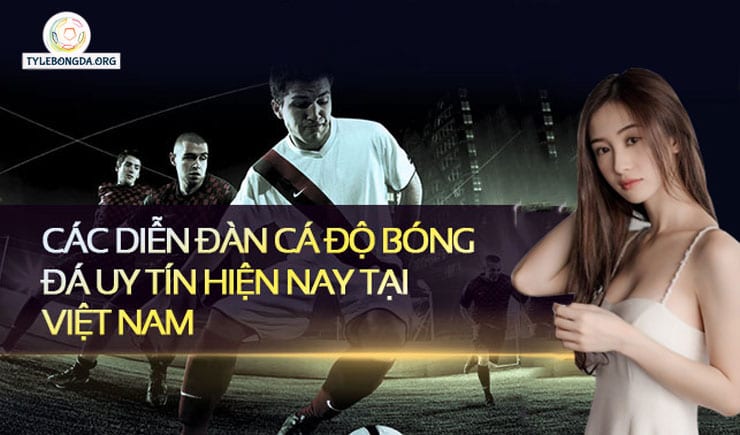 Tổng hợp top diễn đàn bóng đá uy tín và chất lượng nhất Việt Nam 1