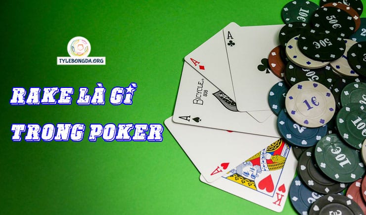 rake là gì trong poker