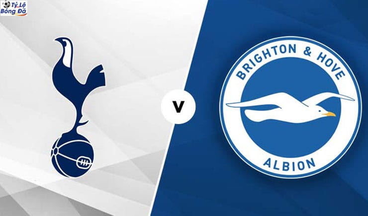 Soi kèo tỷ số nhà cái trận Tottenham vs Brighton, 19h30 – 26/12/2019 1 Soi kèo tỷ số nhà cái trận Tottenham vs Brighton