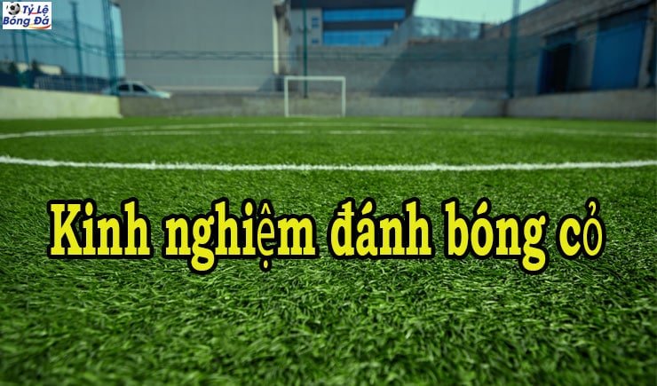 Cùng FB88 tìm hiểu những kinh nghiệm đánh bóng cỏ hay nhất 1 Những kinh nghiệm đánh bóng cỏ