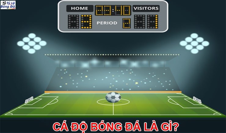 tìm hiểu cá độ bóng đá là gì