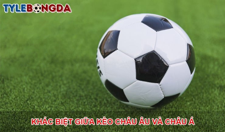 tìm hiểu sự khác biệt giữa kèo châu âu và châu á