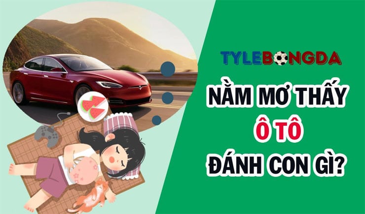 Mơ thấy ô tô đánh con gì