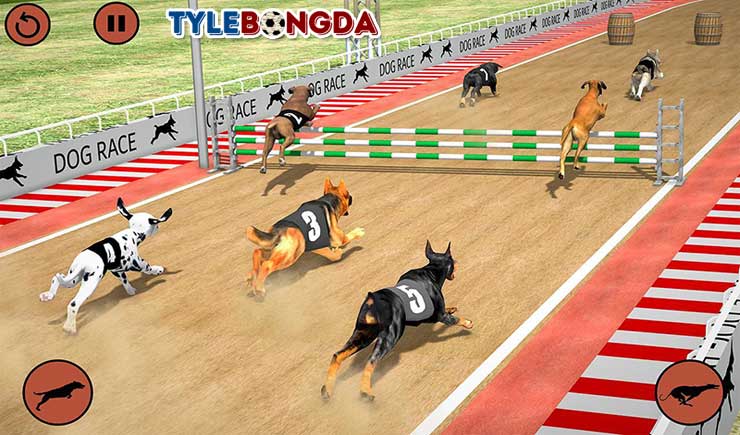 Cá cược đua chó online Cá cược đua chó online