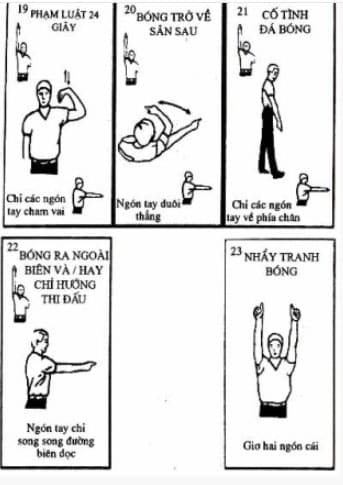 Loại ký hiệu thủ tục