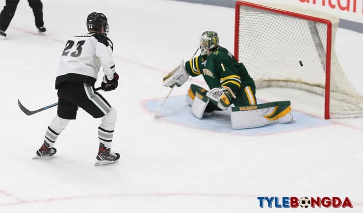 Cách cá cược khúc gôn cầu trên băng